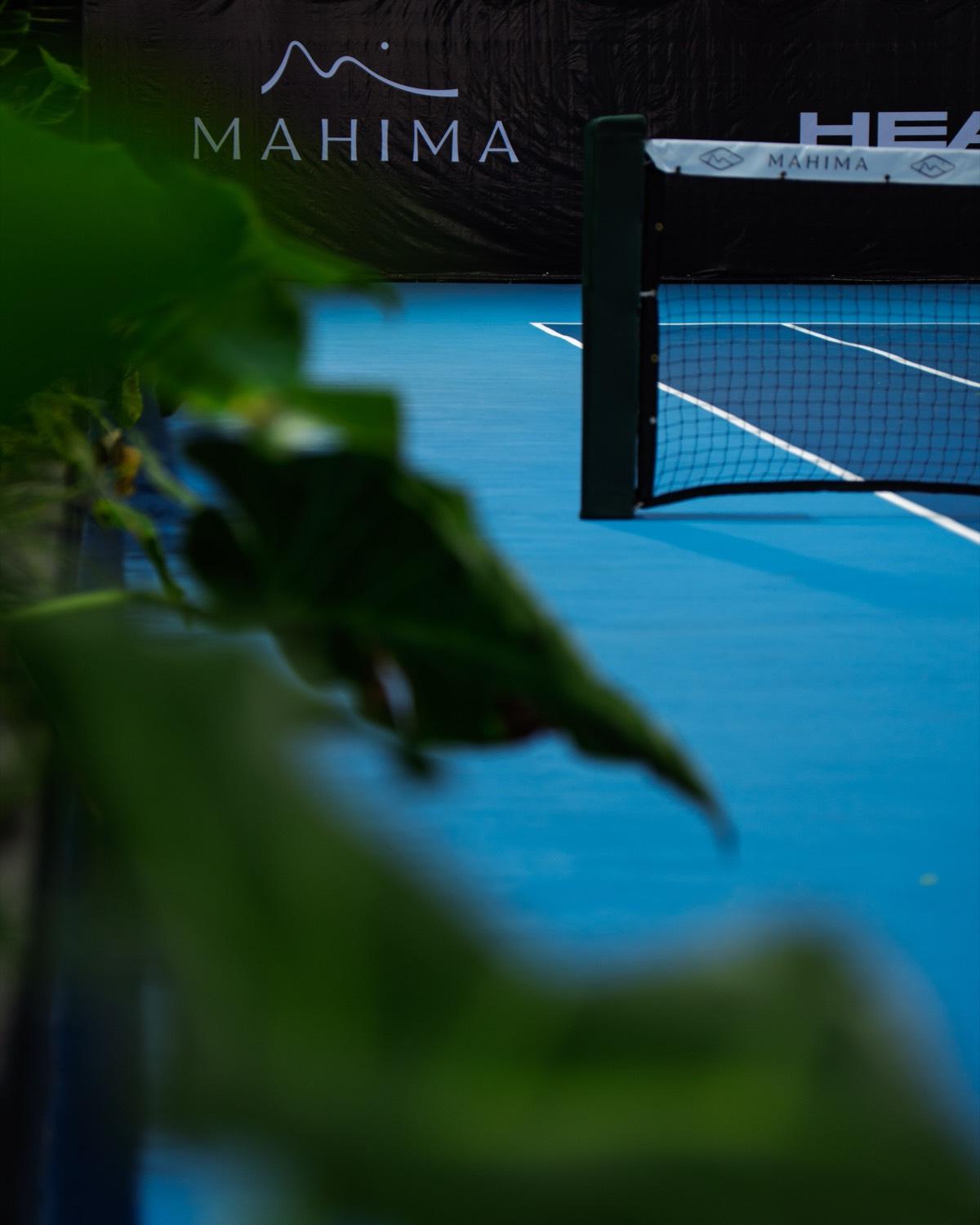 The Courts